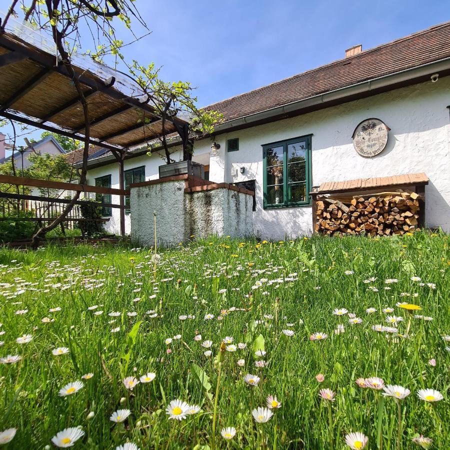 Landhaus Nitsch Appartement - Gaestehaus Nitsch Appartement Prinzendorf an Der Zaya Exterior foto
