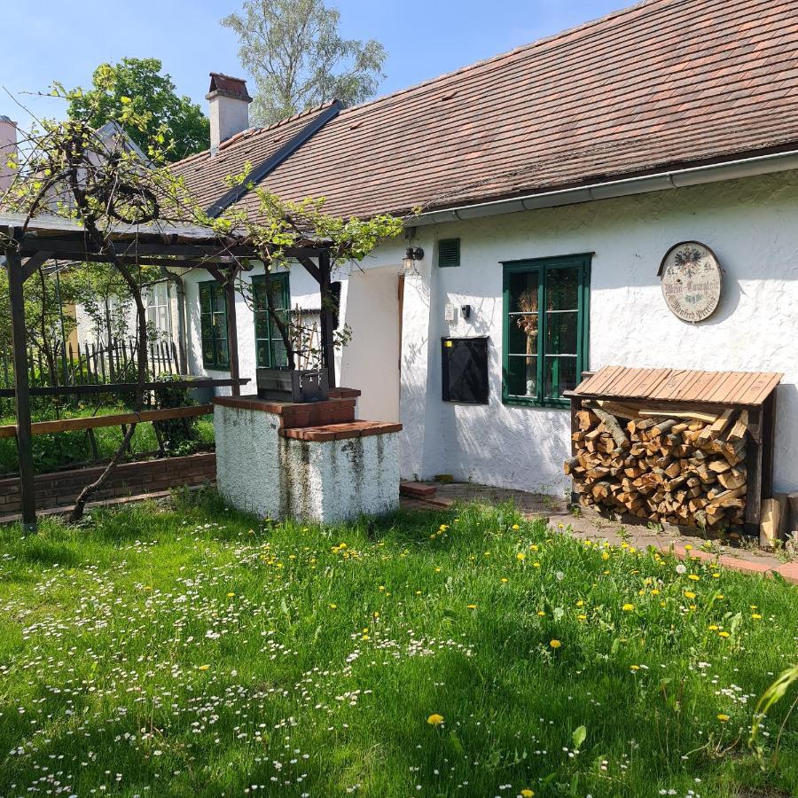 Landhaus Nitsch Appartement - Gaestehaus Nitsch Appartement Prinzendorf an Der Zaya Exterior foto